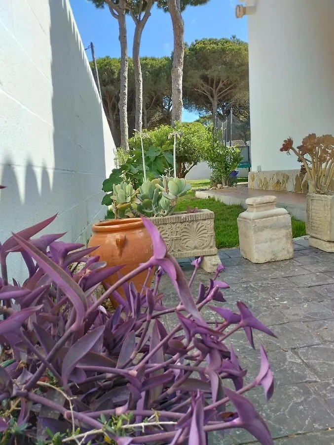 Pinar Del Eden Lm Villa Chiclana de la Frontera Spain